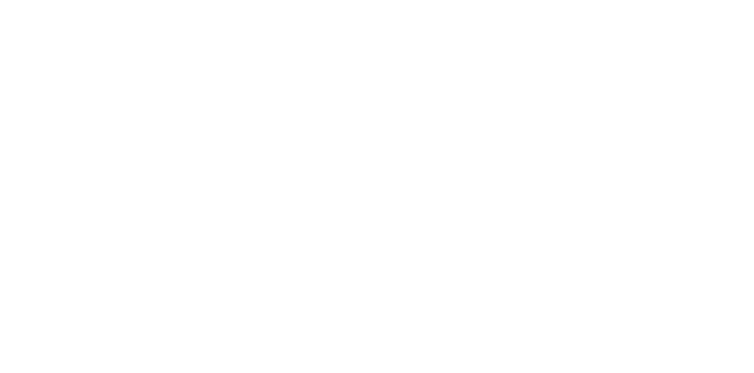 Cargo Sales International
